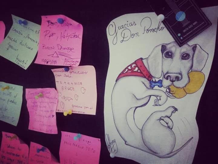 فالبارايسو Hostel Don Poncho المظهر الخارجي الصورة